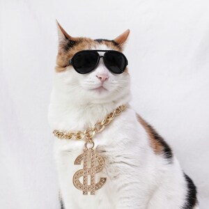 Cat Dog Hip Hop Dollars Chain Necklace Rapper Gold Boeing - Etsy