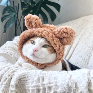 Cat Dog Cute Bear hat crown costume halloween pet gift tiktok image 7