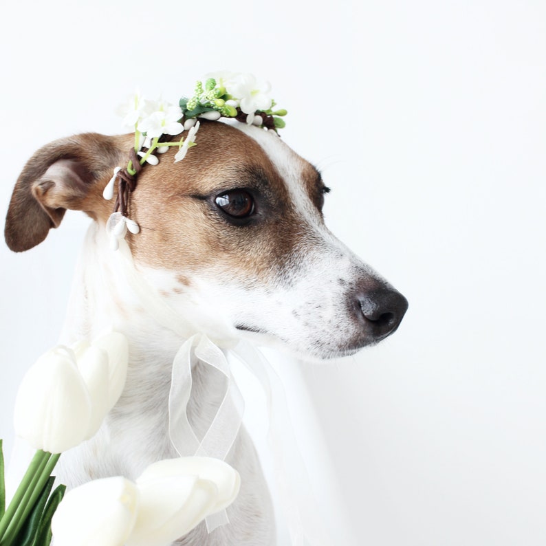 Cat Dog White Flower hairband headband Crown halloween costume image 6