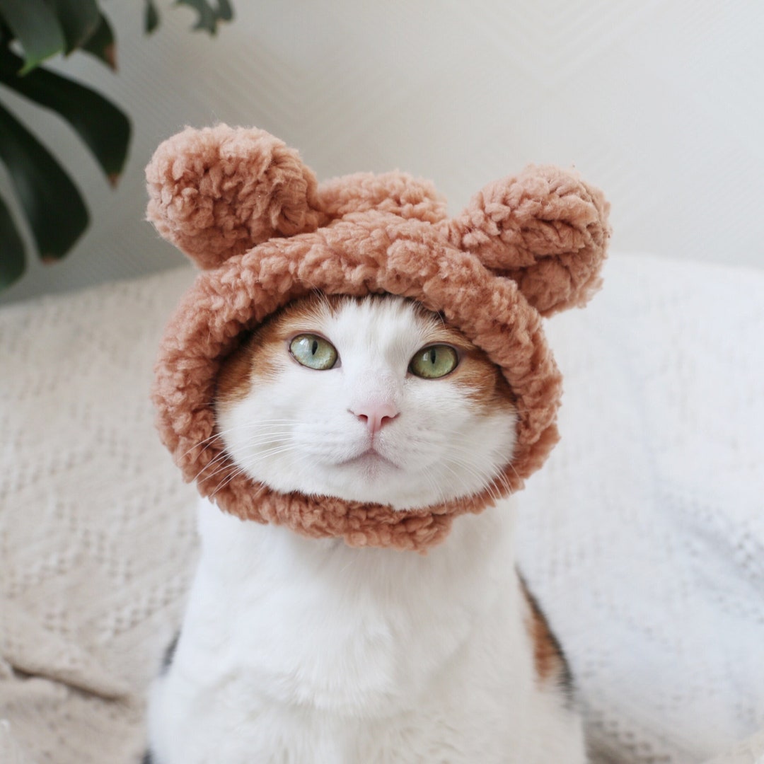 Gato Perro Lindo Sombrero de oso corona disfraz halloween - Etsy México Gato Perro Lindo Sombrero de oso corona disfraz halloween - Etsy México