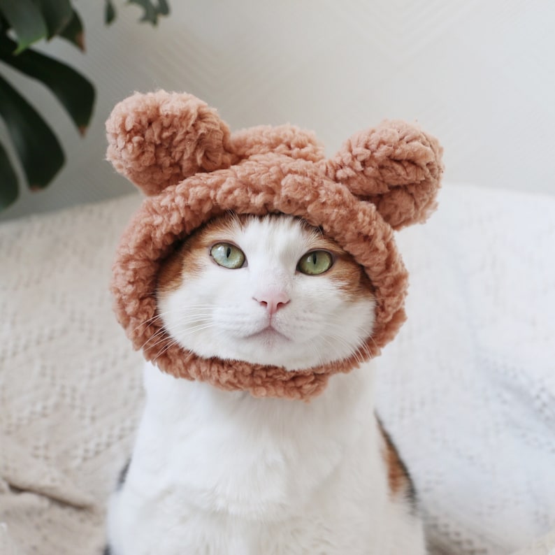 Cat Dog Cute Bear hat crown costume halloween pet gift tiktok image 1