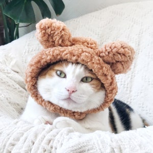 Cat Dog Cute Bear hat crown costume halloween pet gift tiktok image 6