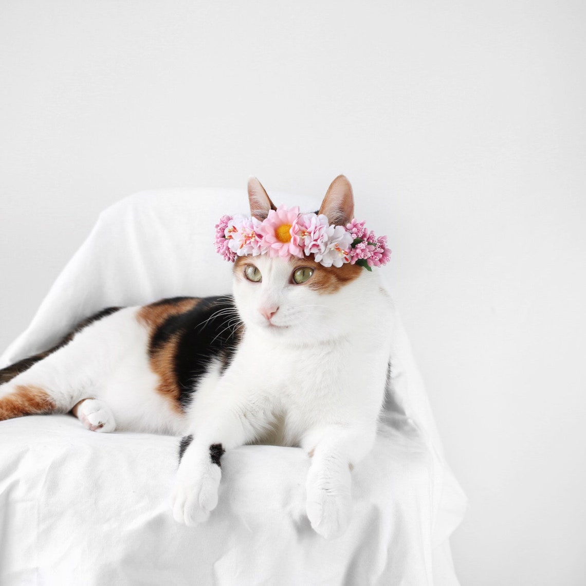 Cat Dog Pink Flower hairband headband Crown hat wedding Collar | Etsy