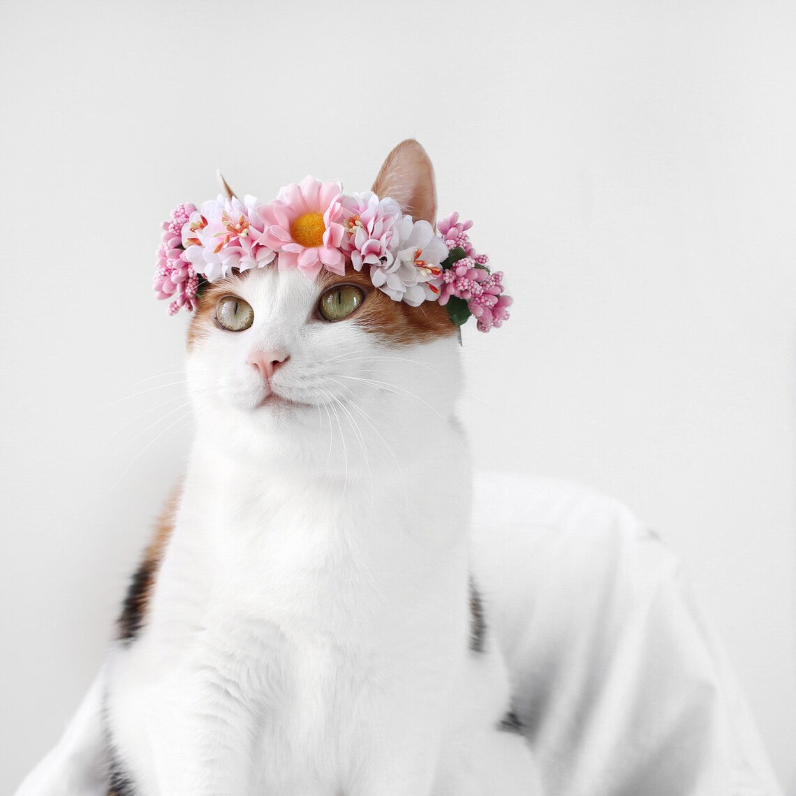 Cat Dog Pink Flower hairband headband Crown hat wedding Collar | Etsy