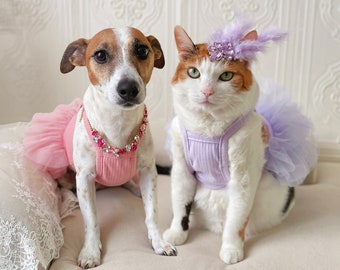 Robe ballerine rose violette pour chat chien collier pour animal de compagnie serre-tête séance photo halloween cadeau d'anniversaire tiktok Miyopet