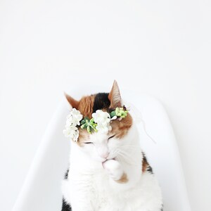 Cat Dog White Flower hairband headband Crown halloween costume image 4