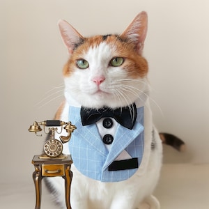 猫用蝶ネクタイ - 「カラーコレクション - オレンジ」 - 無地オレンジ