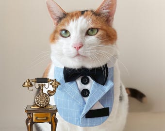 May include: A white and orange cat wearing a blue and white plaid bow tie with a black bow tie. The cat is sitting in front of a small antique-style telephone on a wooden stand.