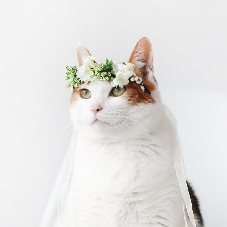 Cat Dog White Flower hairband headband Crown halloween costume image 1