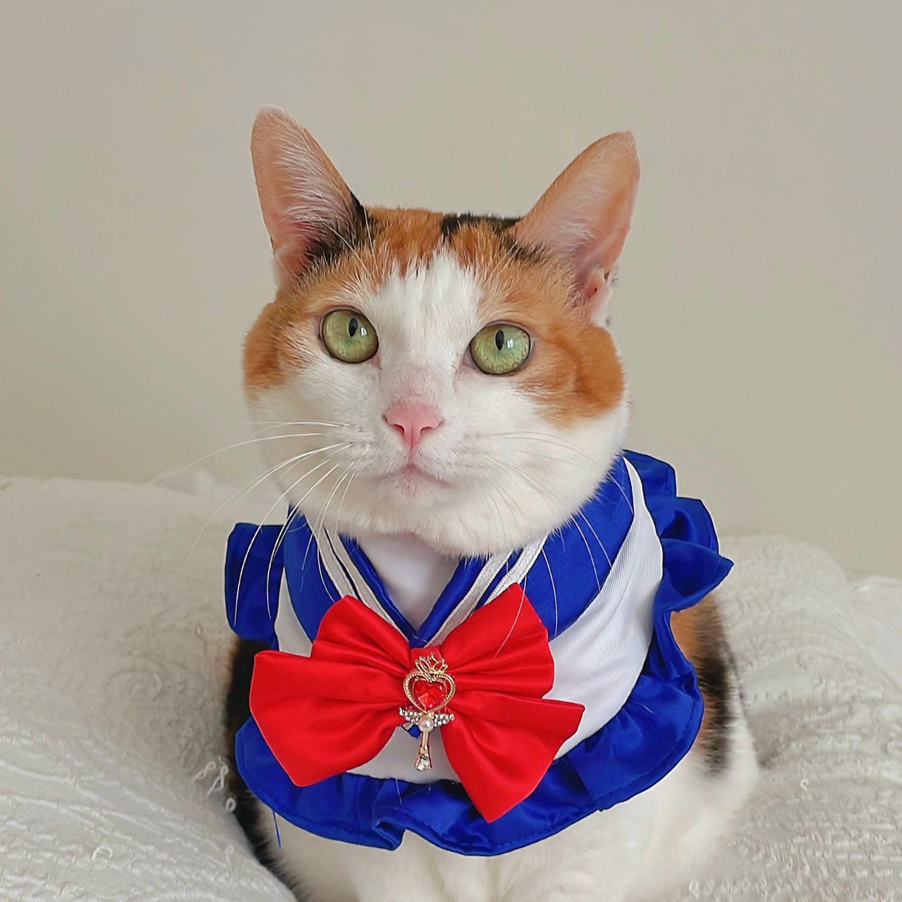 Sailor Cape Scarf for Cats & Small Dogs: Cosplay Pet Costume - Etsy