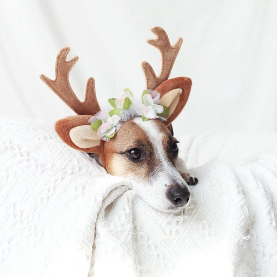 Dog deer antlers costume sale