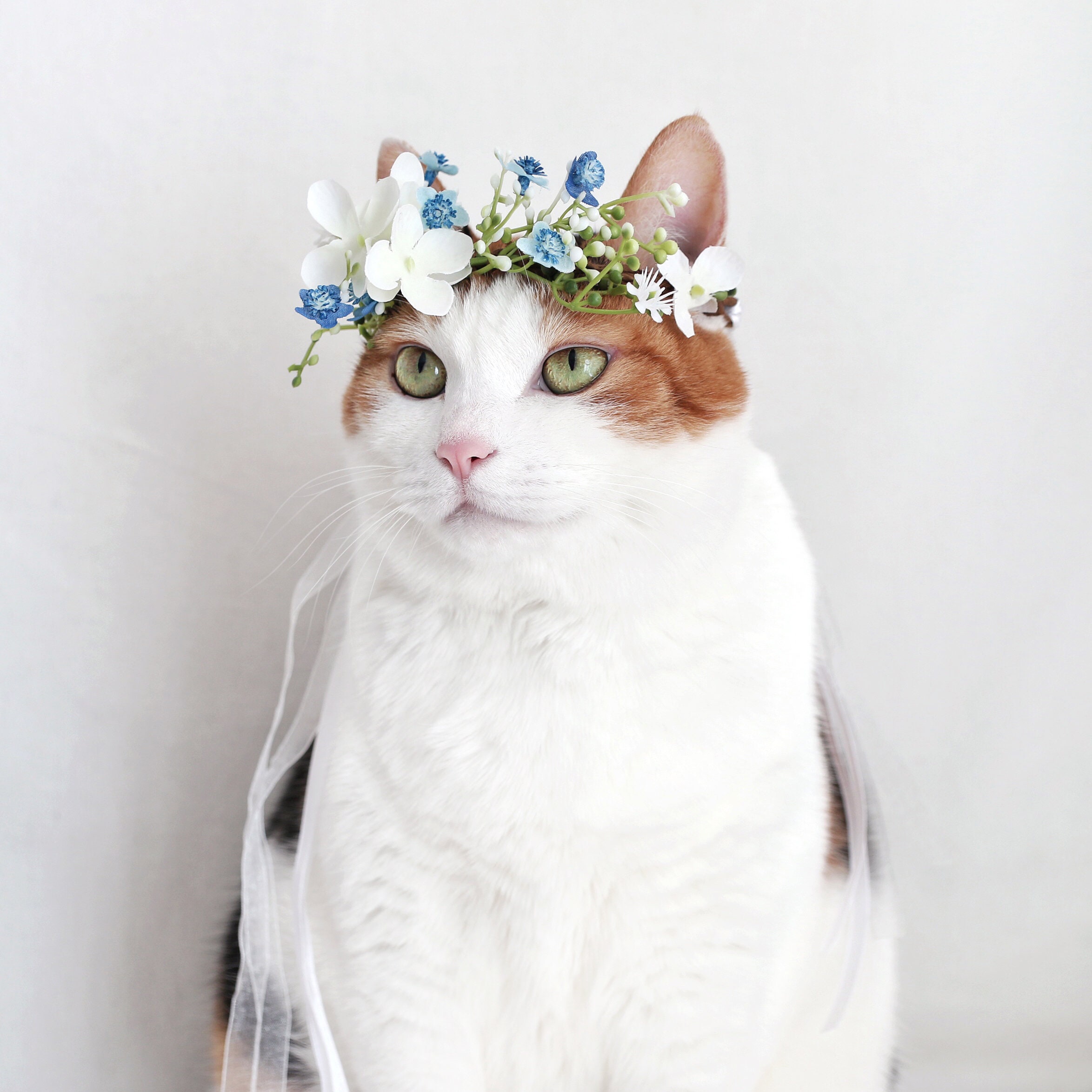 Cat headpiece hotsell