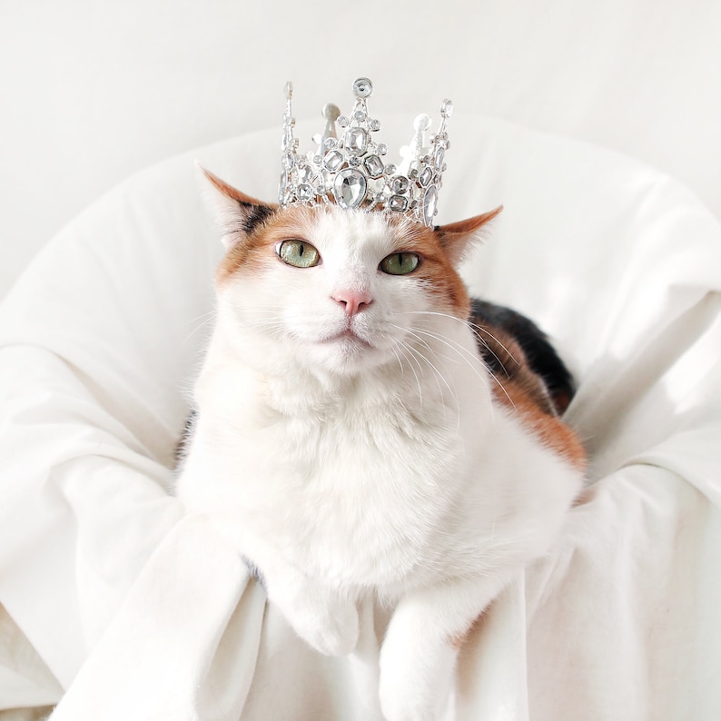 Silver Tiara Crown for Cat Dog Queen Princess Hat Wedding Etsy UK