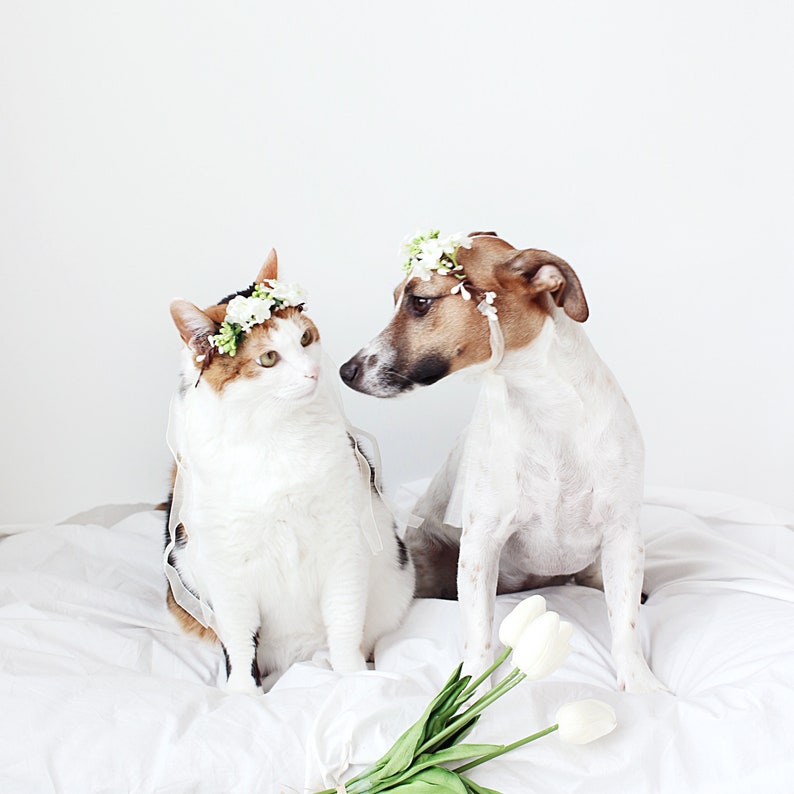 Cat Dog White Flower hairband headband Crown halloween costume image 2