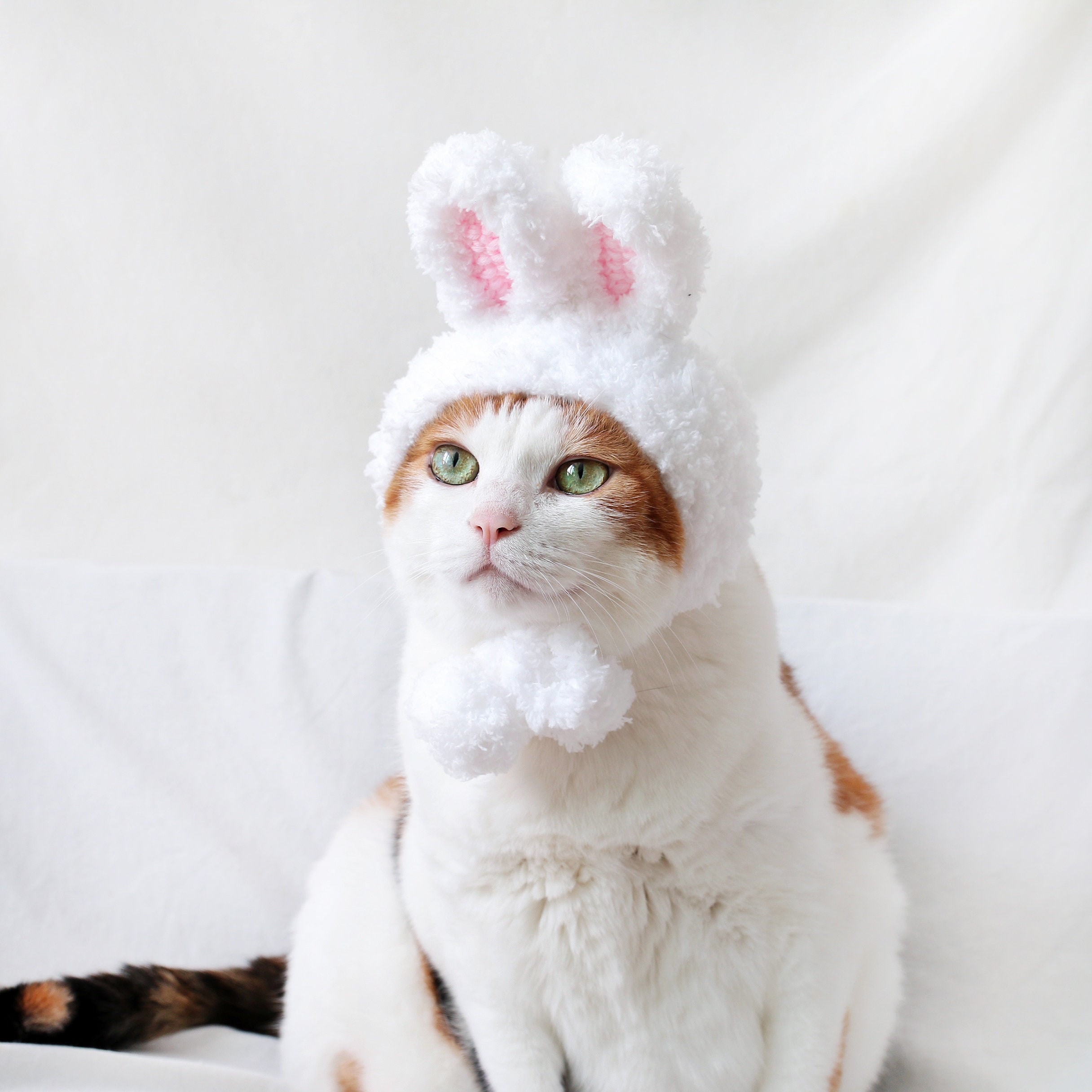 手編みのウサギの帽子 イースターバニー ハロウィンコスチューム クリスマス 誕生日 ペット 犬 猫 ティックトック ミヨペットへのプレゼント