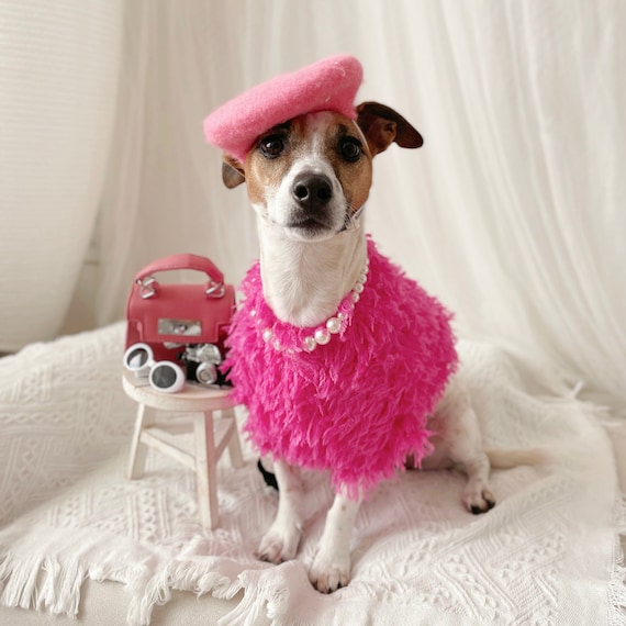 dog in pink dress suxuMhao Cute Puppy Puppy Dresses Cute Cat Princess Dresses Pet Skirt for Little Girl Dogs (Pink,L) It features a convenient pull 870+ Dog In Pink Dress
