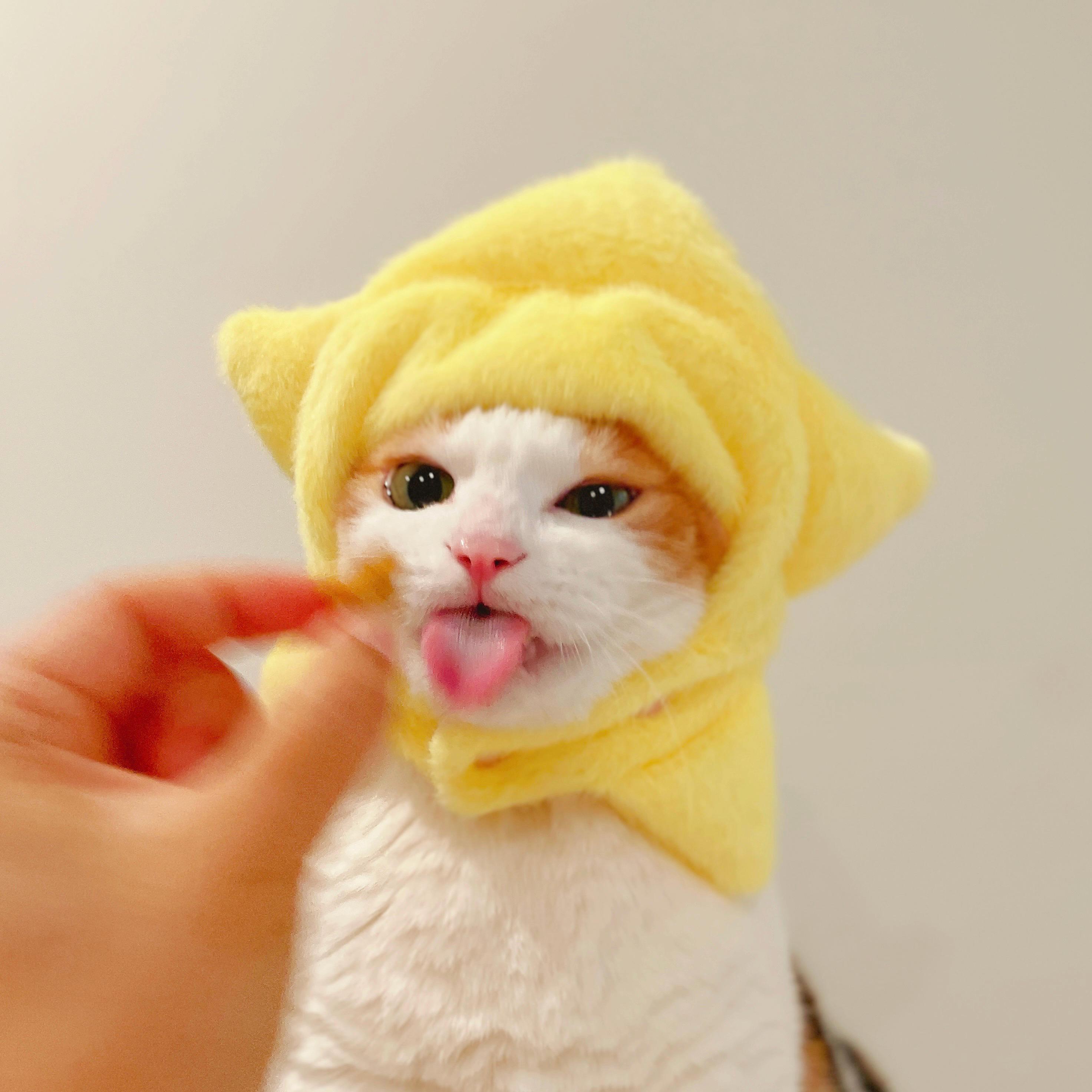 il_fullxfull.6938475553_8idp.jpg