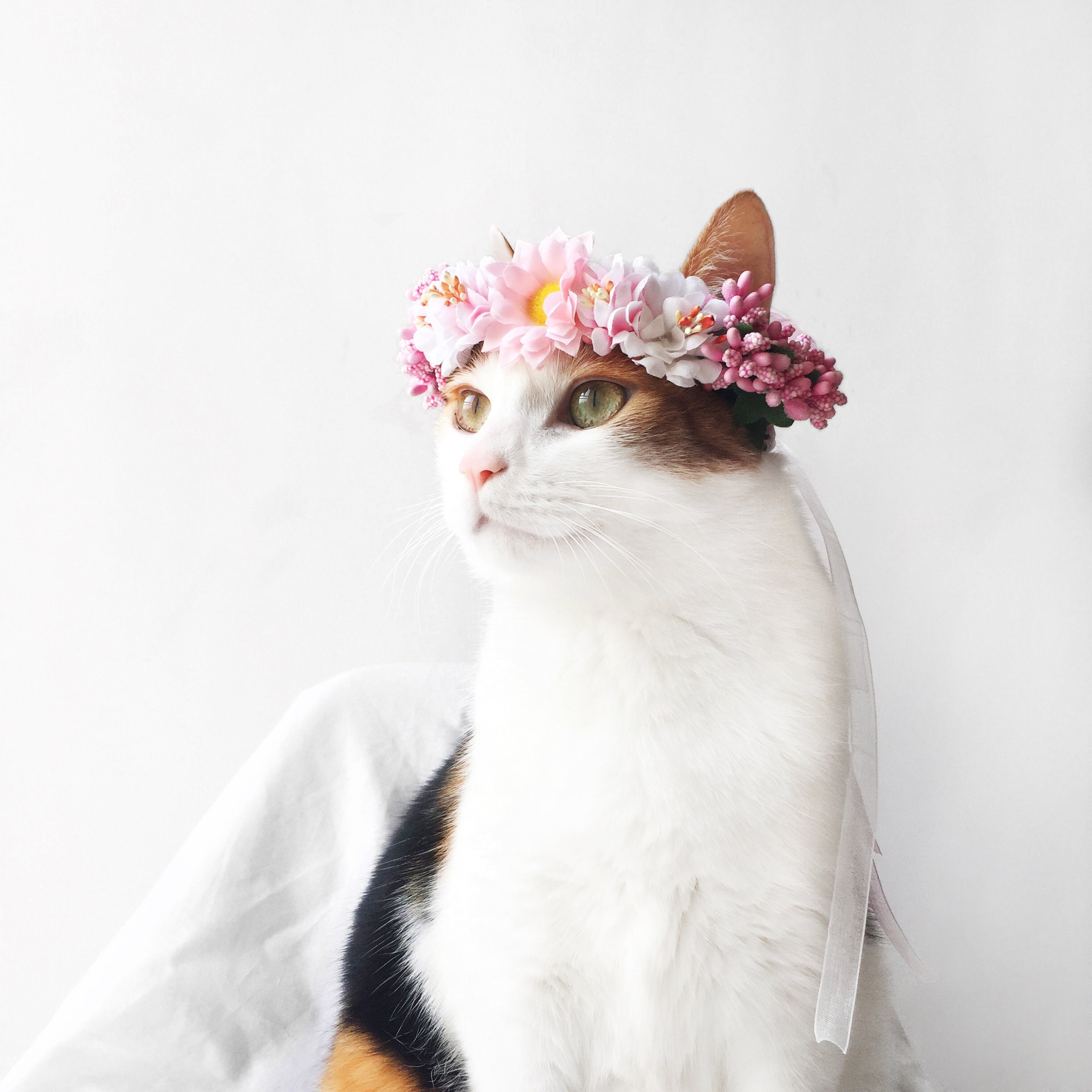 Cat Dog Pink Flower hairband headband Crown hat wedding Collar | Etsy