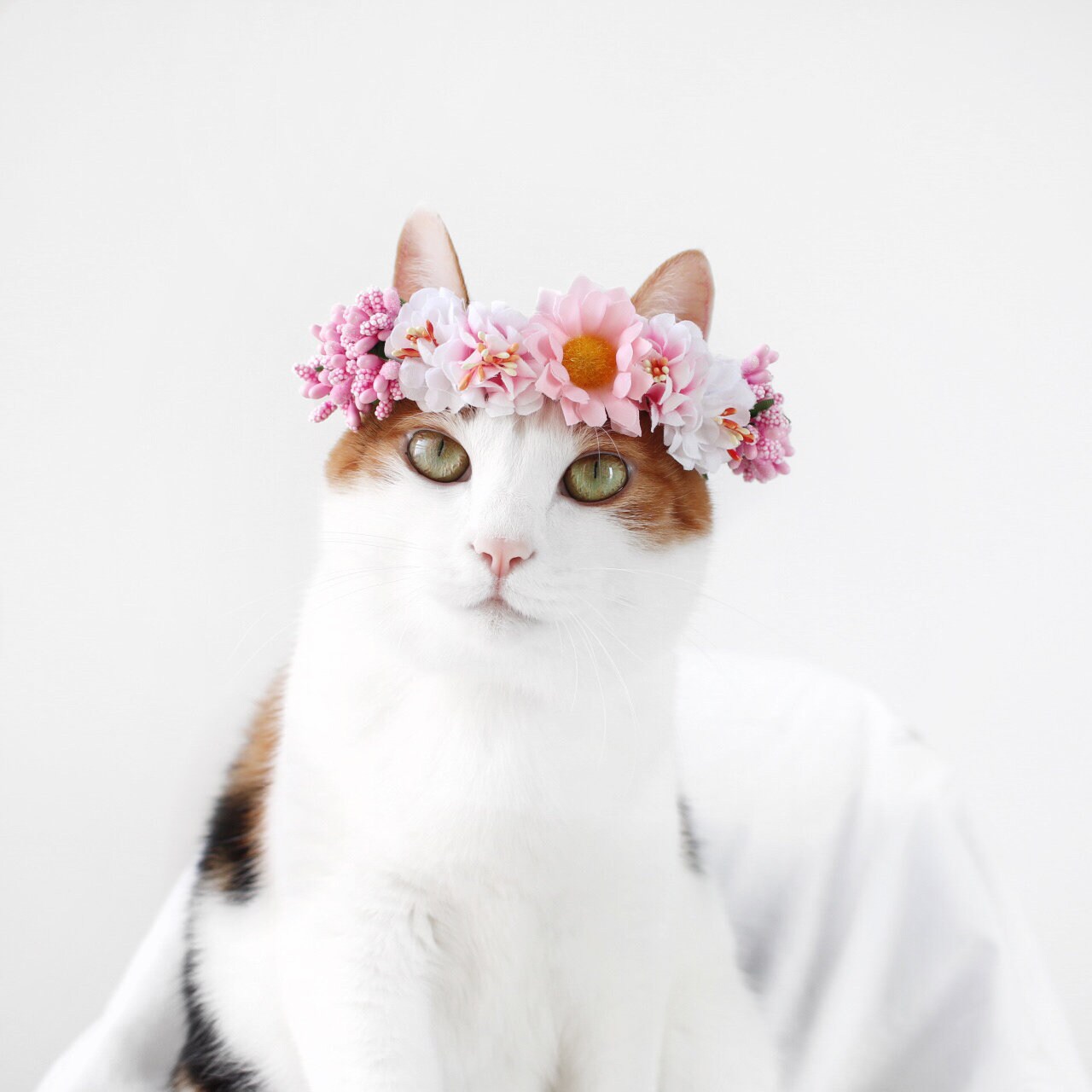 One Of A Kind Kawaii Cat Charm Flower Headband Cat Flower Hat, Cute Floral 2-in-1 Cat Collar / Headband  main image 4