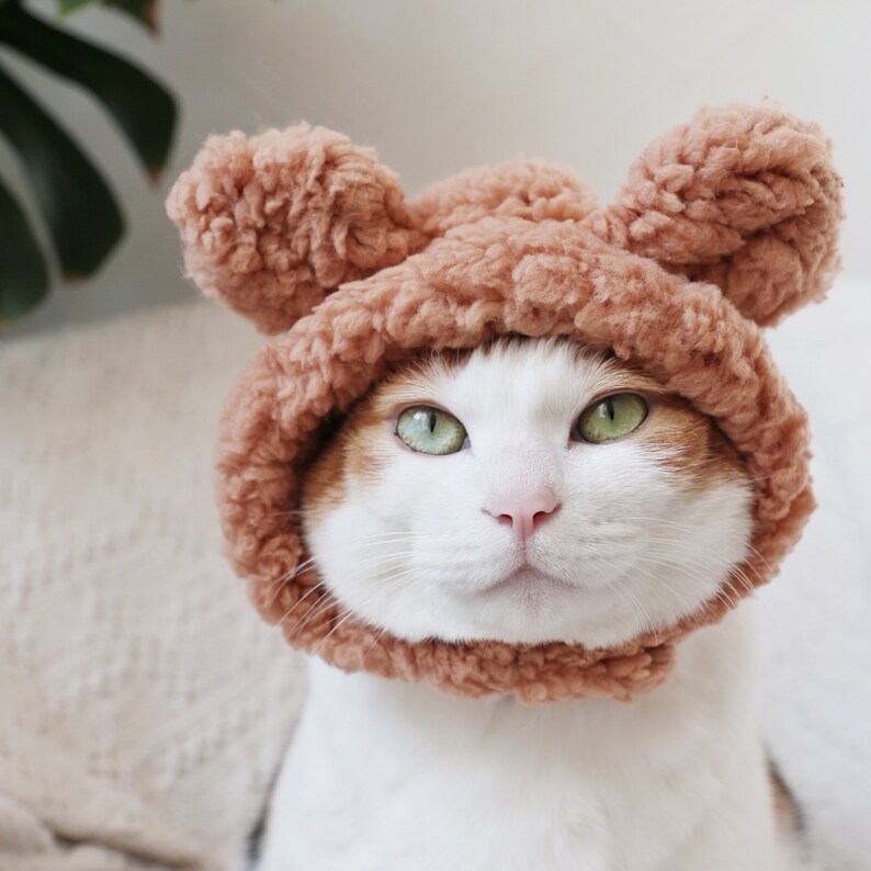 Cat Dog Cute Bear hat crown costume halloween pet gift tiktok image 4