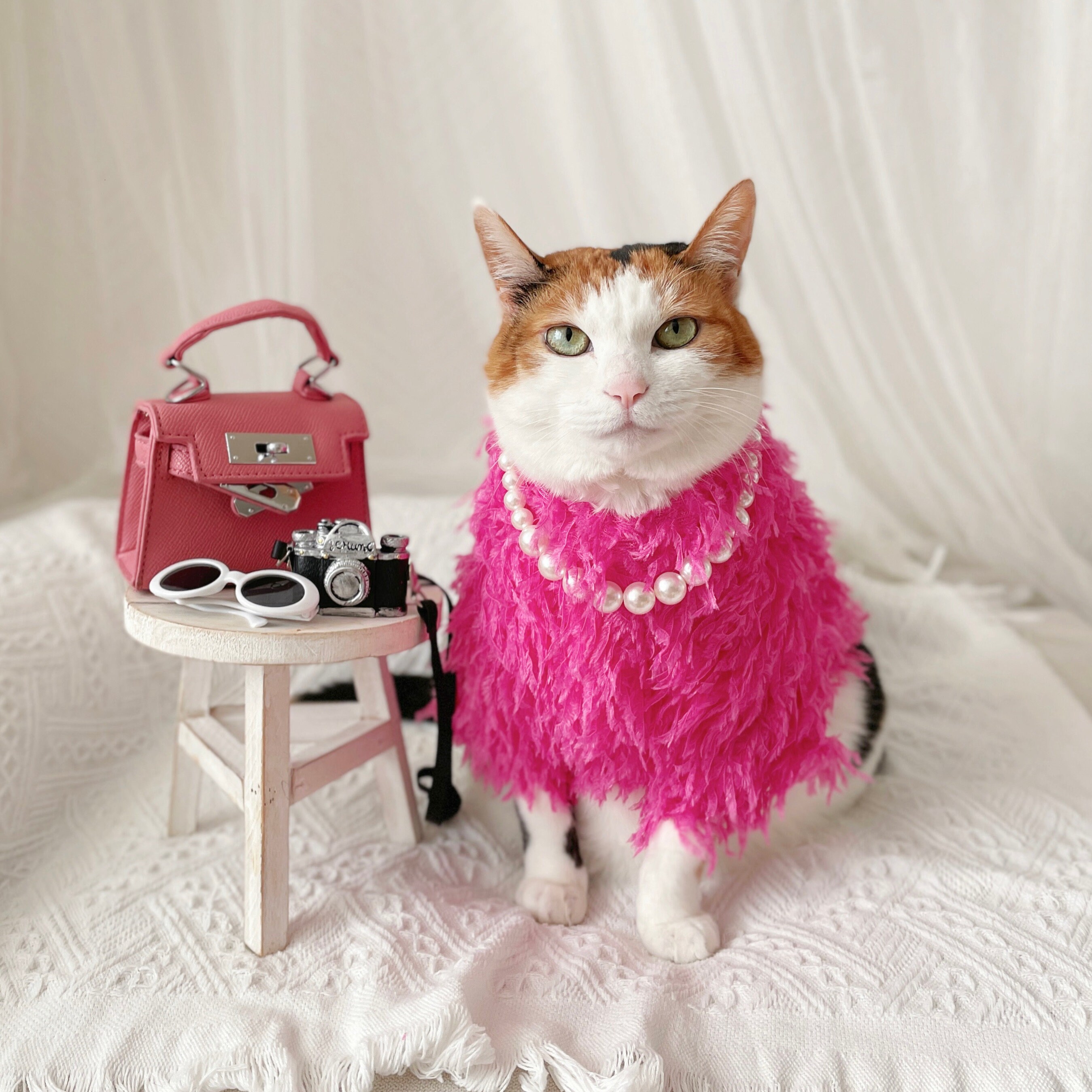 cute animal dress Fashion Chinchilla Rabbit Skirt Dress for Small Animals Sweet Pet Clothes  with B
