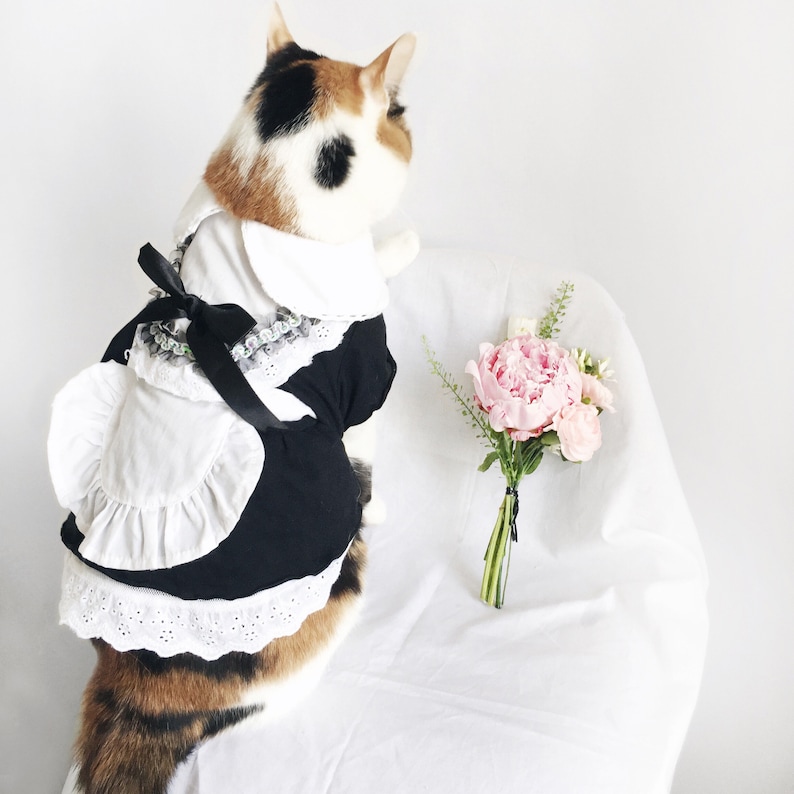 Pet Cat Dog Maid Costume Clothes Maid Uniform Suit Dress for - Etsy