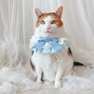 Alice Blue lace scarf cape collar Pet Cat Dog Purple ballerina Cloths necklace wedding crown Halloween gift Photoshoot tiktok Miyopet image 4