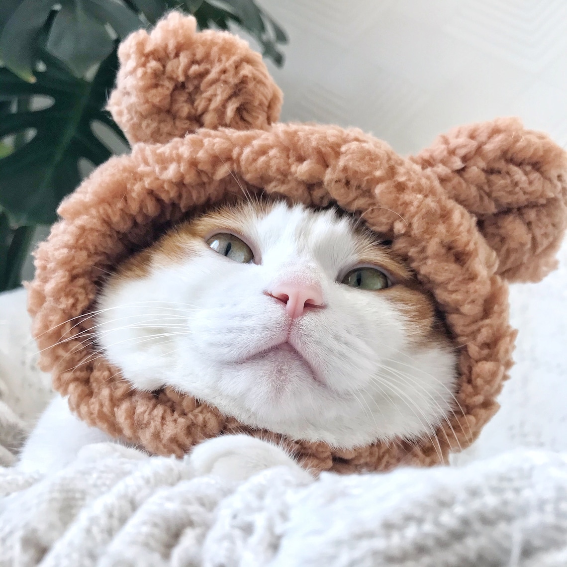 Cat Dog Cute Bear Hat Crown Costume Halloween Pet T Tiktok Etsy