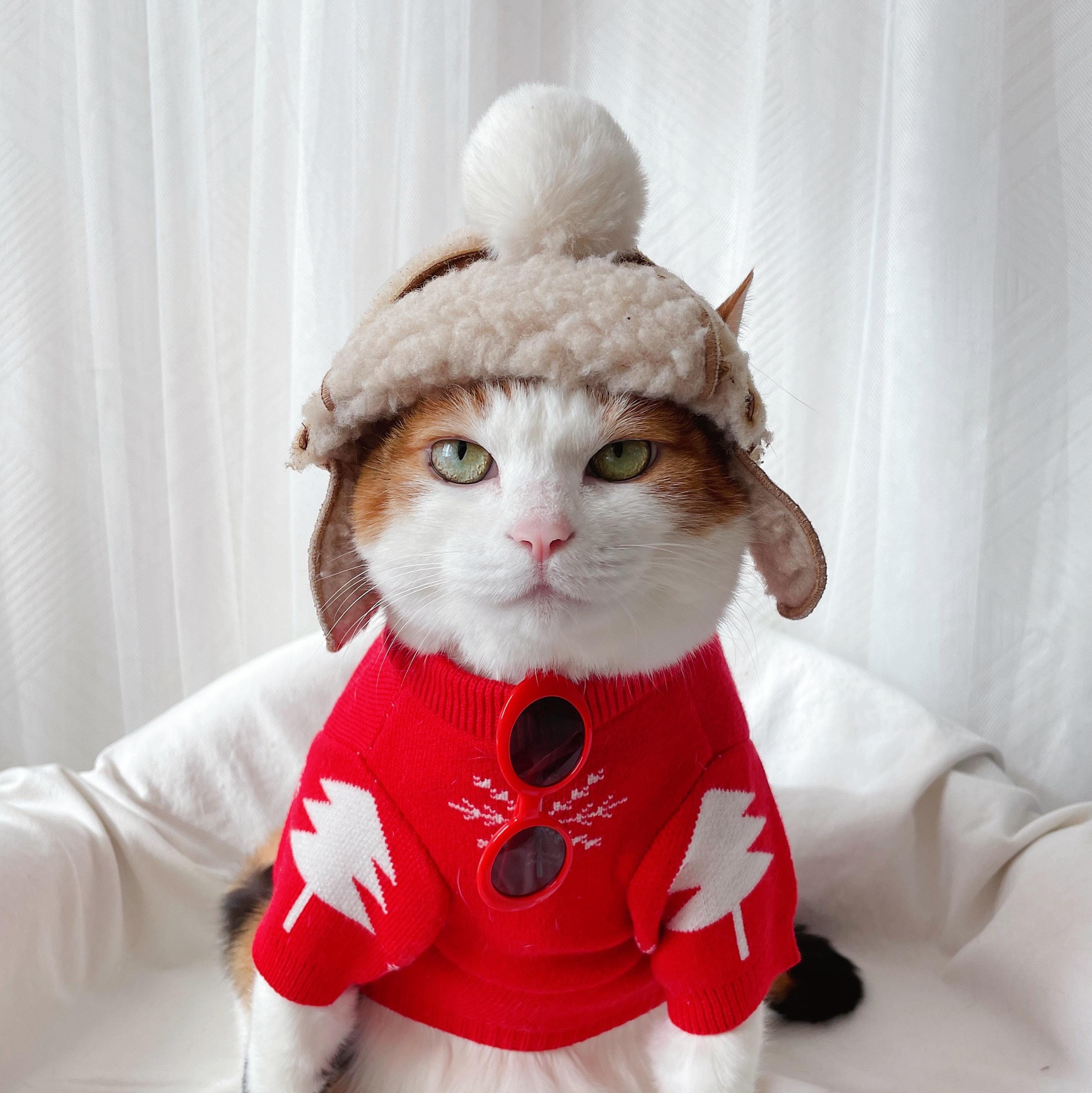 Cozy Cute Fur Bomber Ushanka Winter Warm Hat Trapper Hat