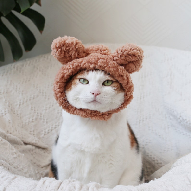 Cat Dog Cute Bear hat crown costume halloween pet gift tiktok image 8