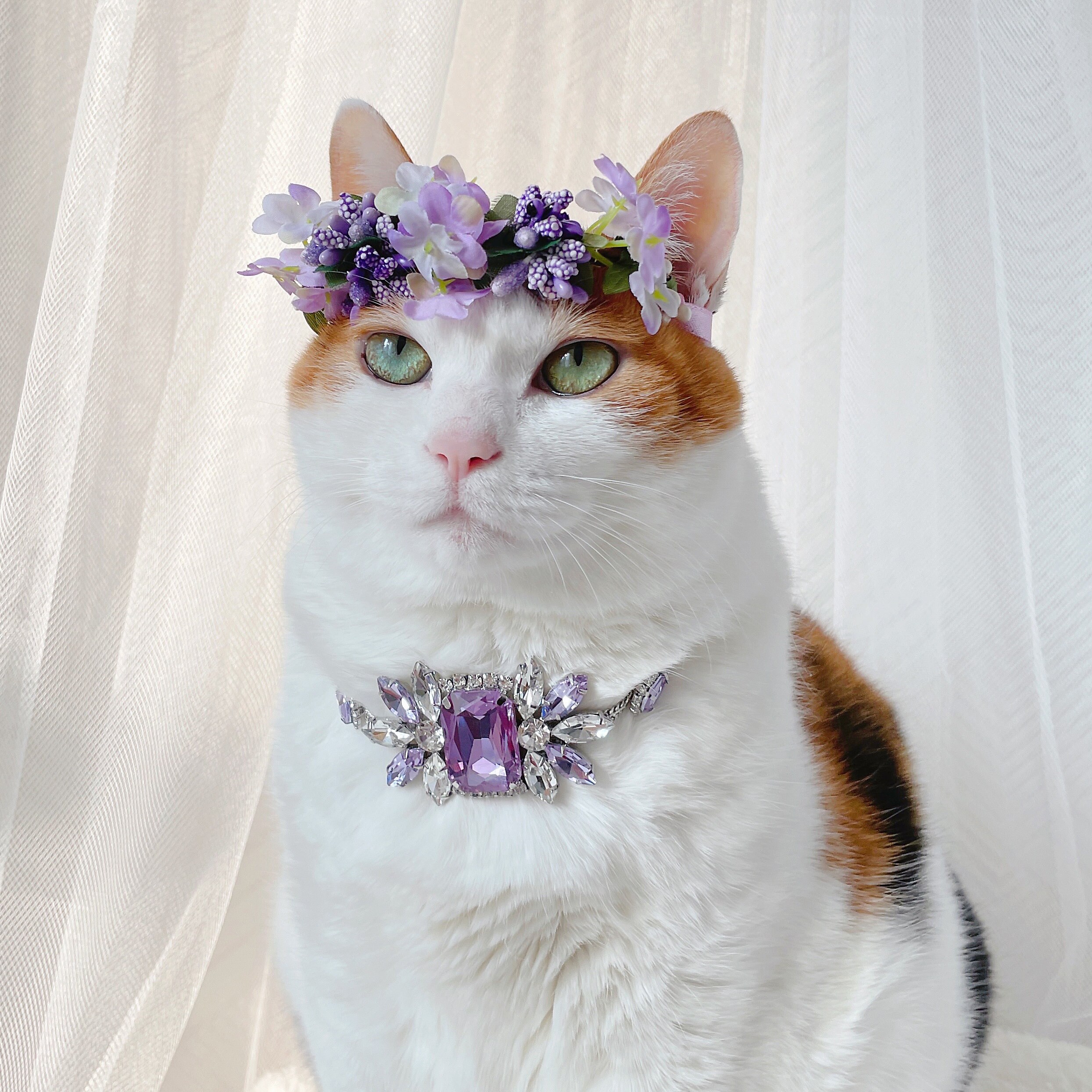 Violet Purple Crystal Necklace Flower Crown for Cat Dog 