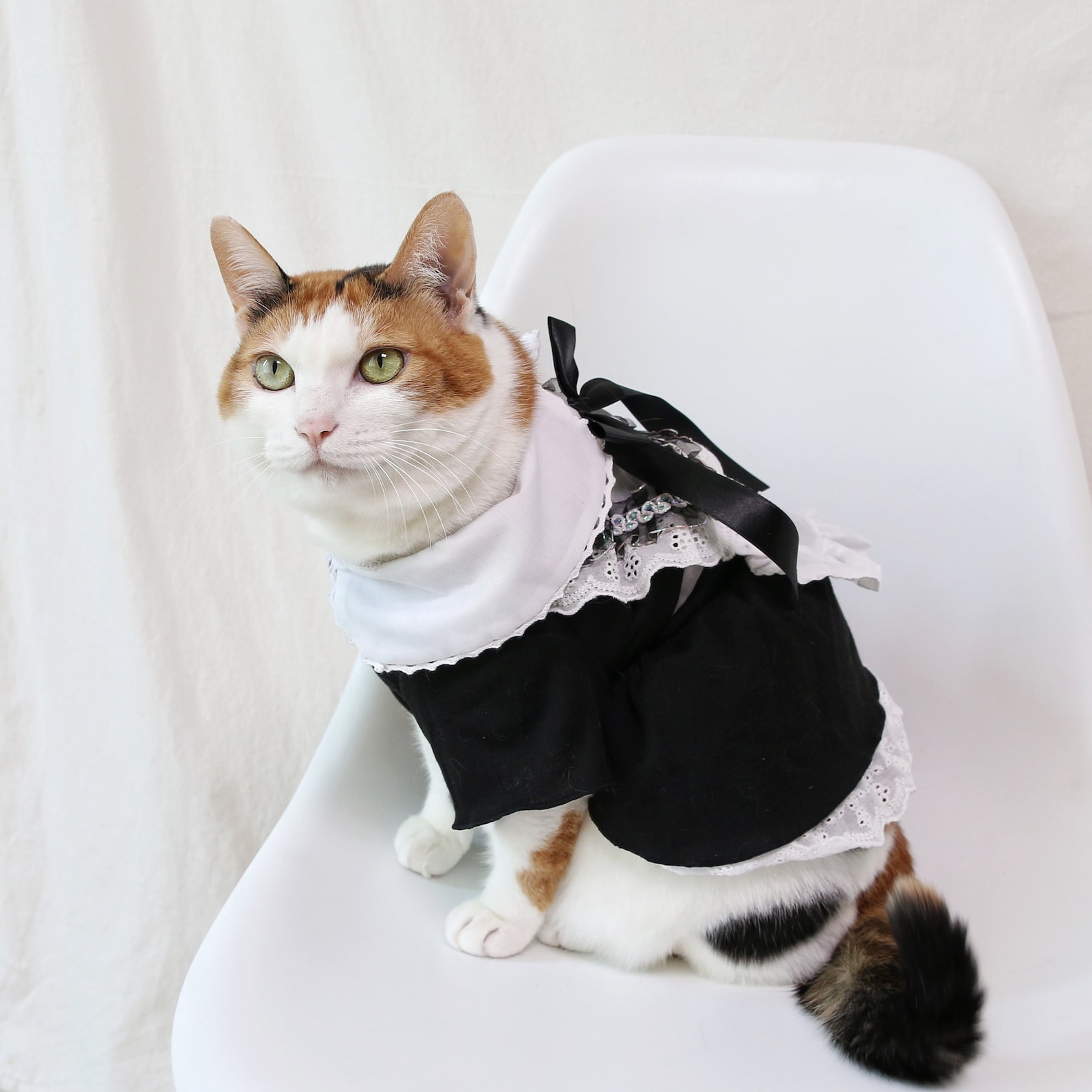 Pet Cat Dog Maid Costume Clothes Maid Uniform Suit Dress for | Etsy