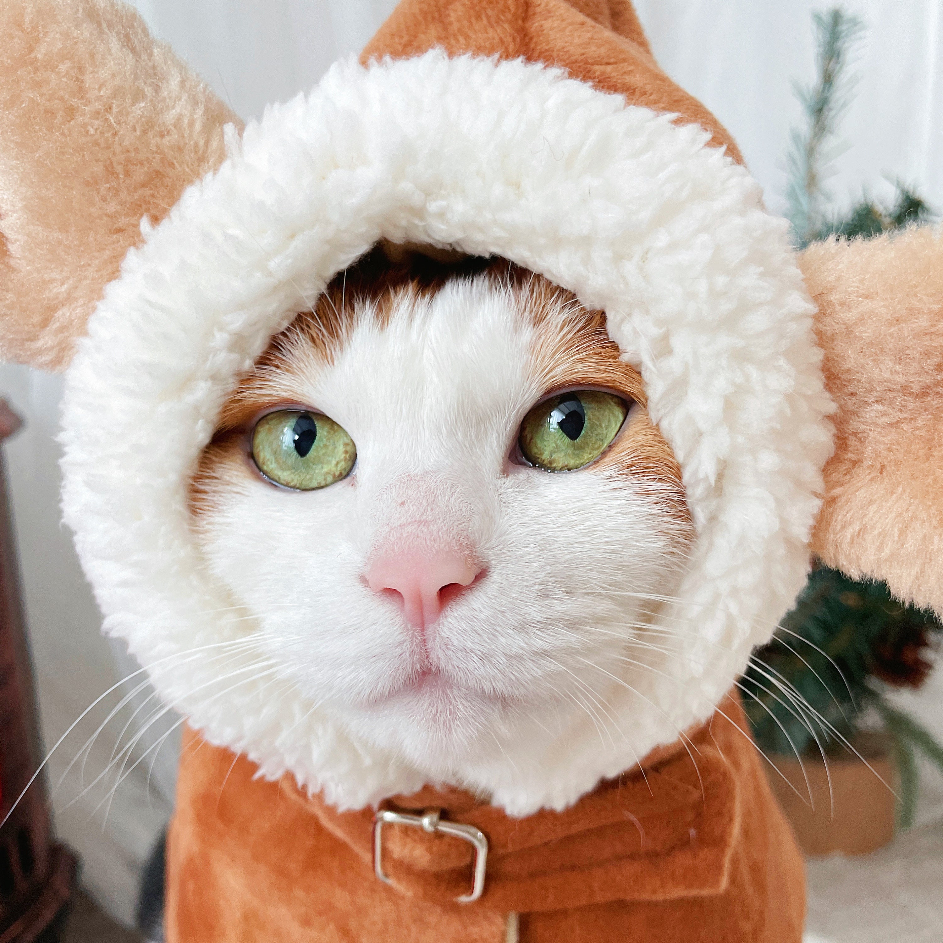 Rudolph Cape Robe Deer Cat Dog Pet Winter Hoodie Cloth Costume ...