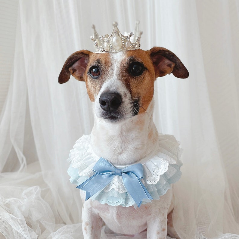 Alice Blue lace scarf cape collar Pet Cat Dog Purple ballerina Cloths necklace wedding crown Halloween gift Photoshoot tiktok Miyopet image 9