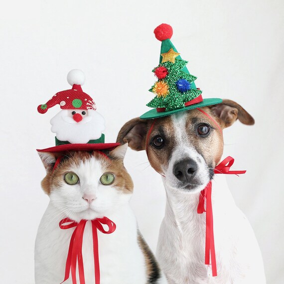 Christmas Tree Santa Hat for Cat Dog 