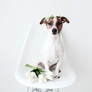 Cat Dog White Flower hairband headband Crown halloween costume image 7