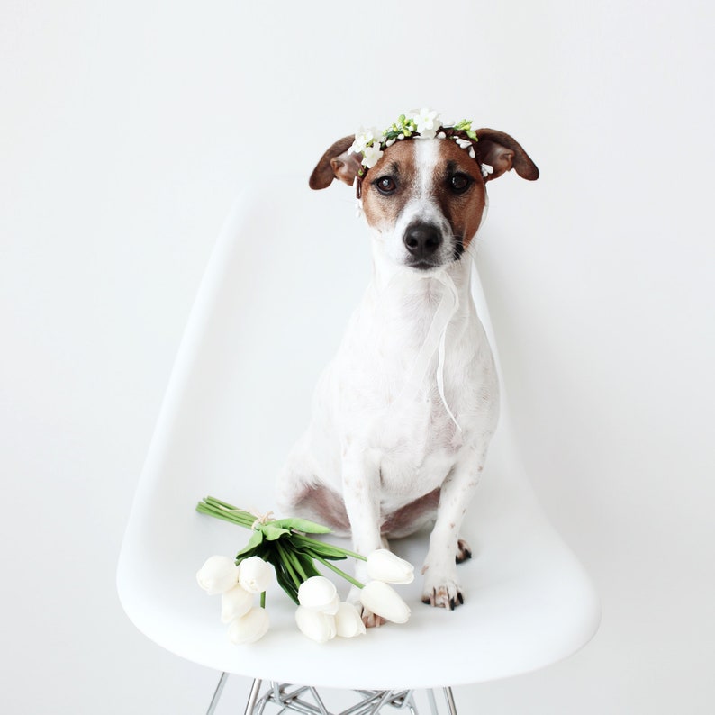 Cat Dog White Flower hairband headband Crown halloween costume image 7