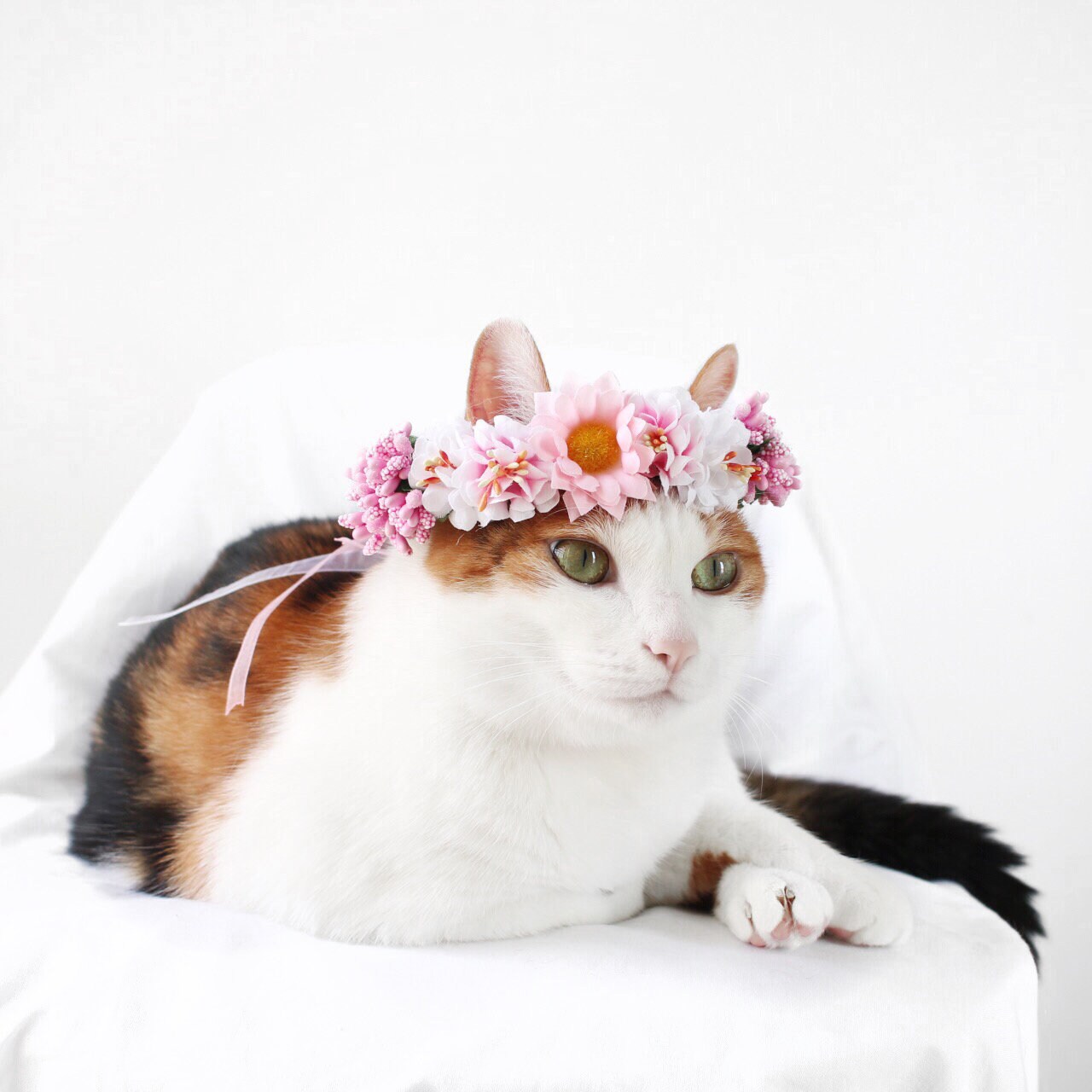 Cat Dog Pink Flower hairband headband Crown hat wedding Collar | Etsy