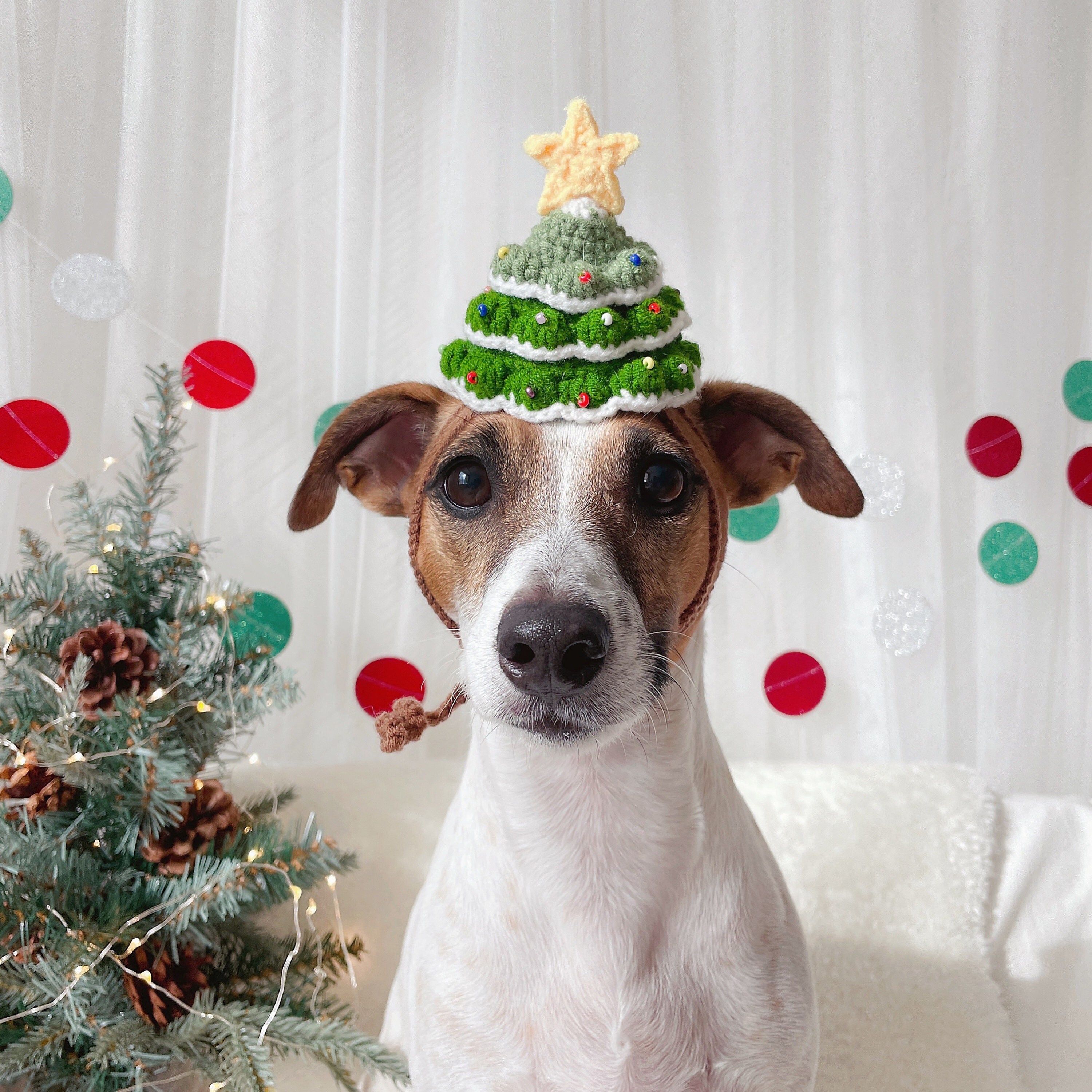 Christmas tree dog costume online