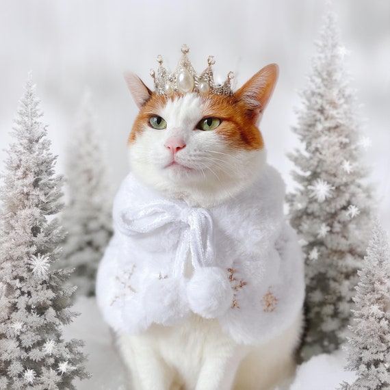 Gold Spangle Snow Queen Cape Cloak Robe Crown for Pet Cat Dog Outfit Costume Halloween Christmas Gifts Photoshoot Tiktok Miyopet Etsy