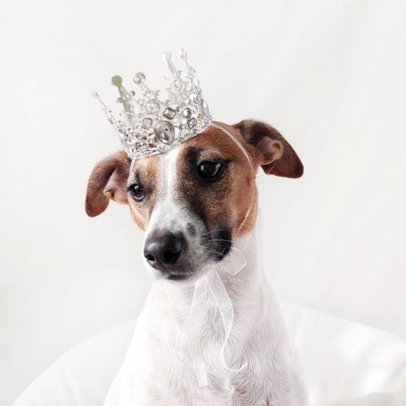 Dog tiara discount