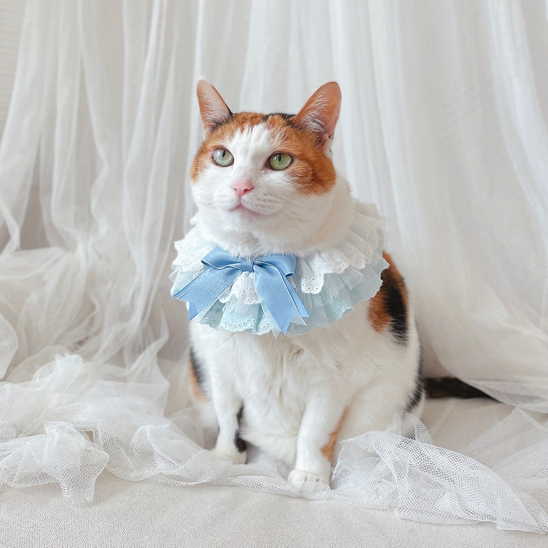 Alice Blue lace scarf cape collar Pet Cat Dog Purple ballerina Cloths necklace wedding crown Halloween gift Photoshoot tiktok Miyopet image 5