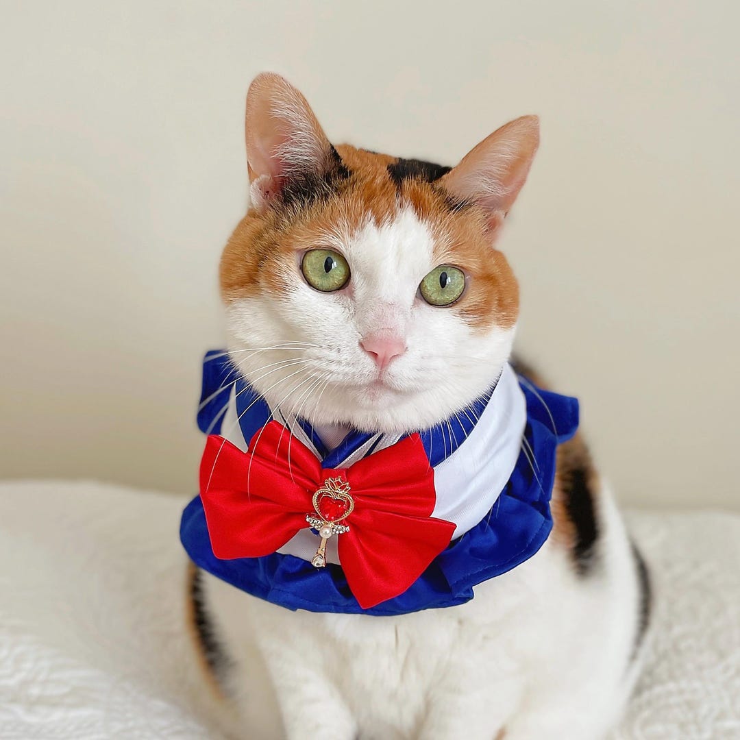 Sailor Cape Scarf for Cats & Small Dogs: Cosplay Pet Costume - Etsy