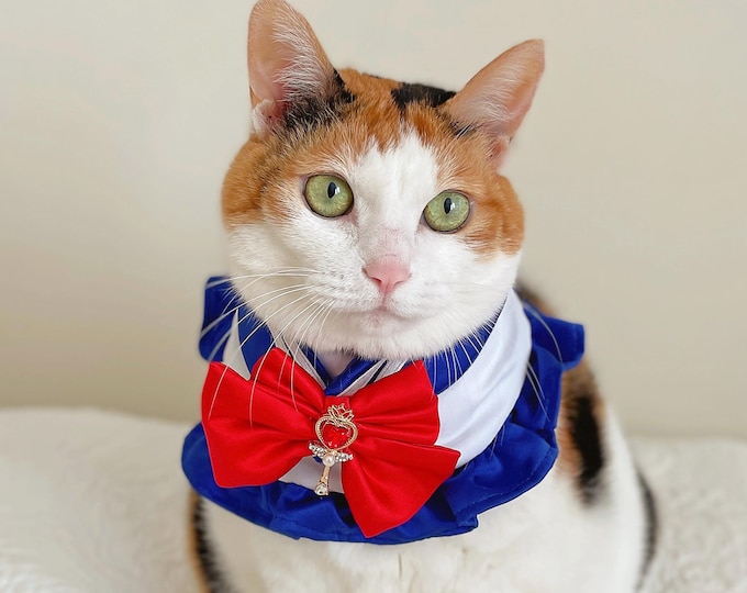 Sailor Cape Scarf for Cats & Small Dogs: Cosplay Pet Costume