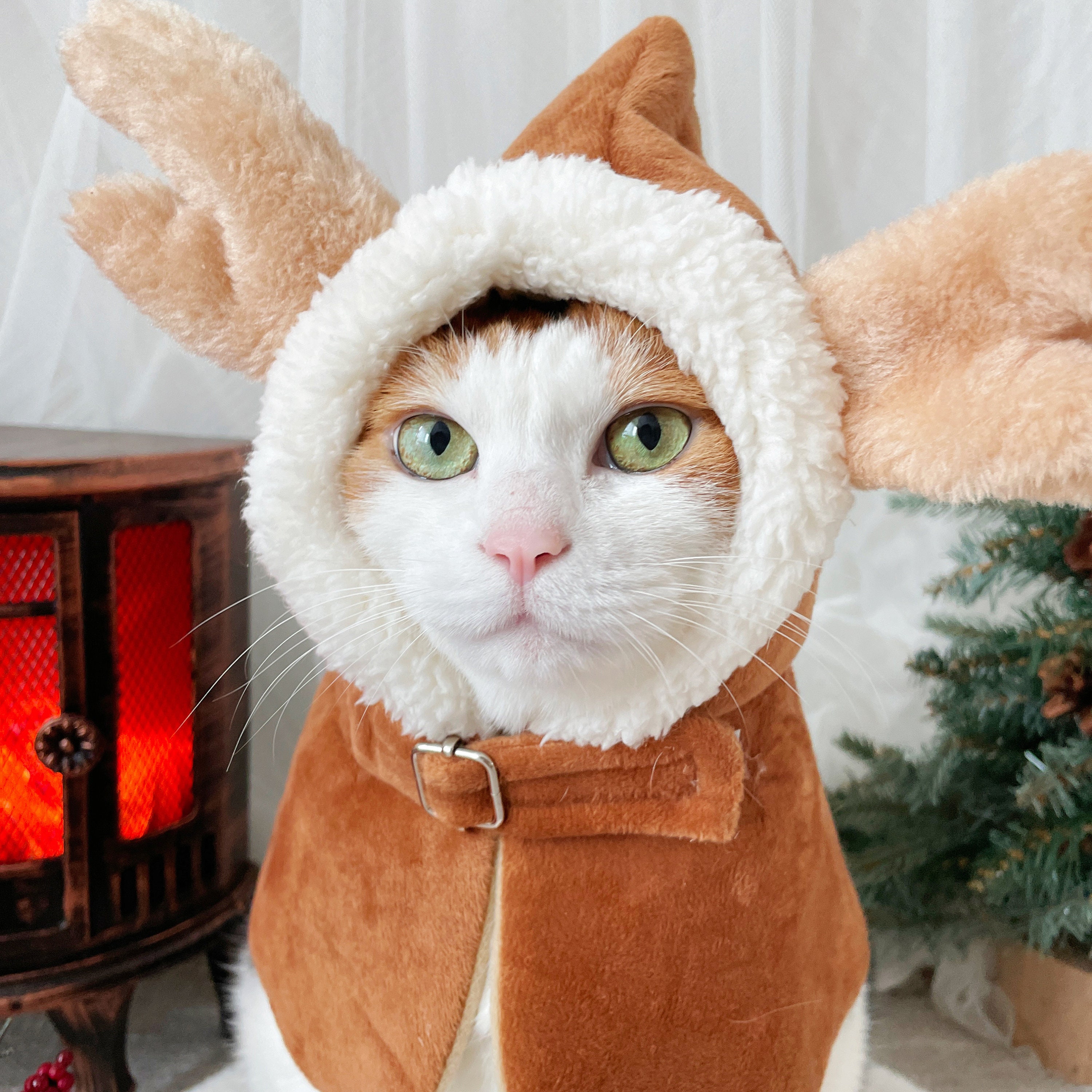 Rudolph Cape Robe Deer Cat Dog Pet Winter Hoodie Cloth Costume ...