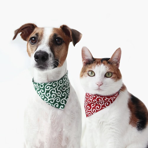 Handgefertigtes Spitzen-Halstuch Für Hunde & Katzen – Rosa-weißes Blumenmuster, Verstellbar, Perfekt Für Geburtstag, Halloween & Hochzeit