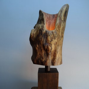 Lampe aus Holz / Tischlampe / Leuchte / Holzleuchte mit Metall Unikat Bild 1