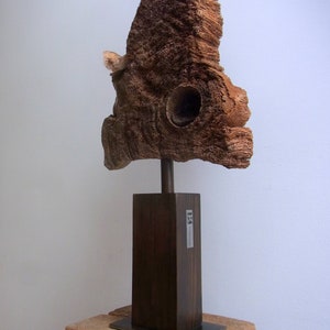 Kunstobjekt aus Holz, Stahl köcherbaum Bild 5