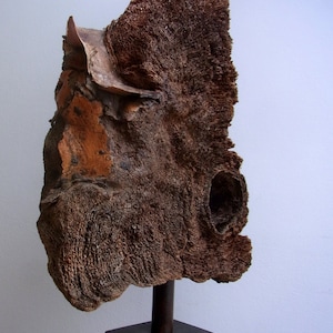 Kunstobjekt aus Holz, Stahl köcherbaum Bild 3