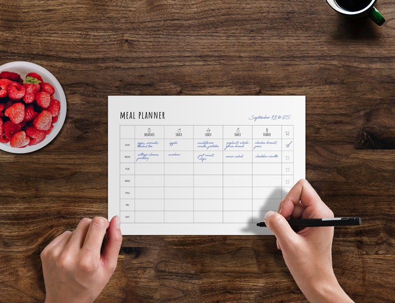 Meal Planner Insert Printable PDF A4 landscape Instant Download.